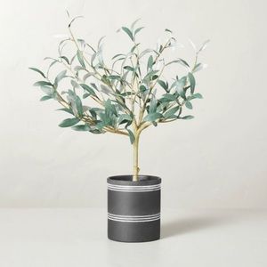 Faux Olive Leaf Ceramic Pot Arrangement - Hearth & Hand™ with Magnolia